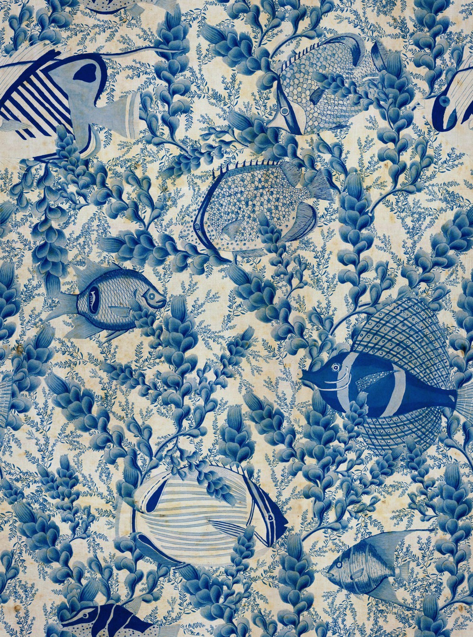 Aquarium indigo tapet - front