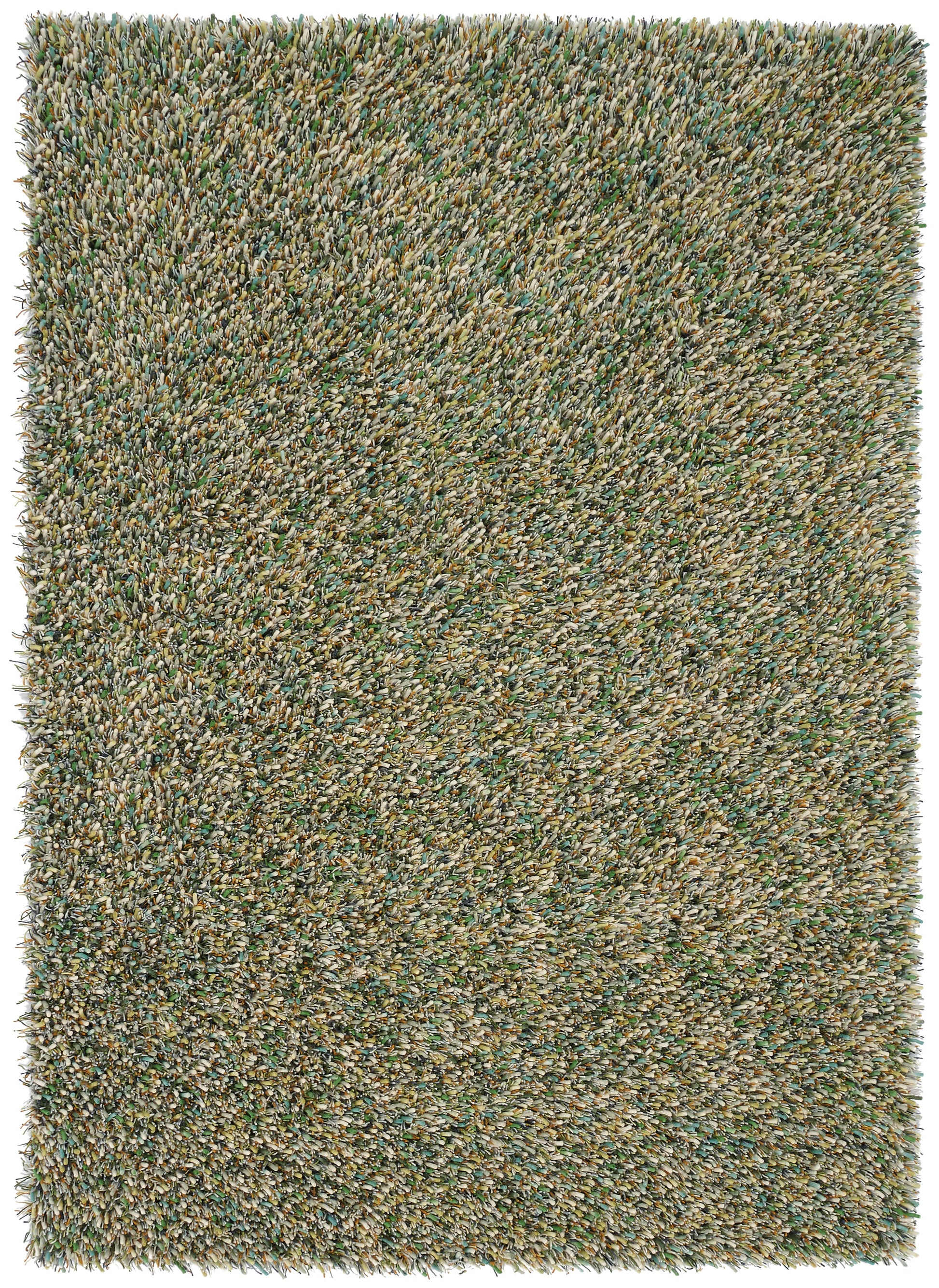 Spring evergreen - front