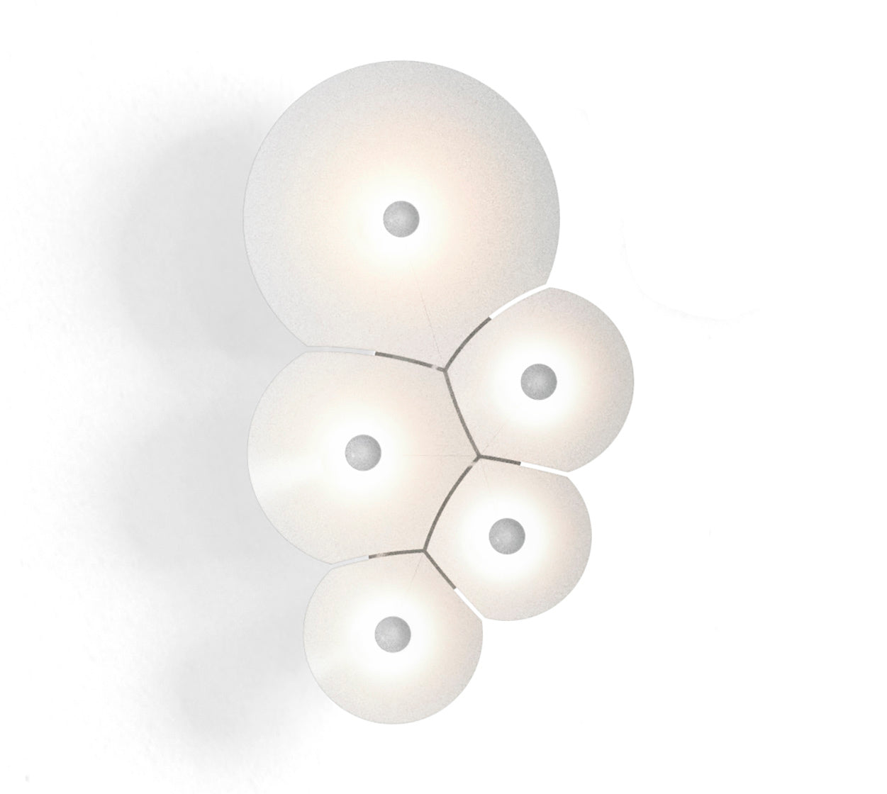 Bulbullia - ceiling