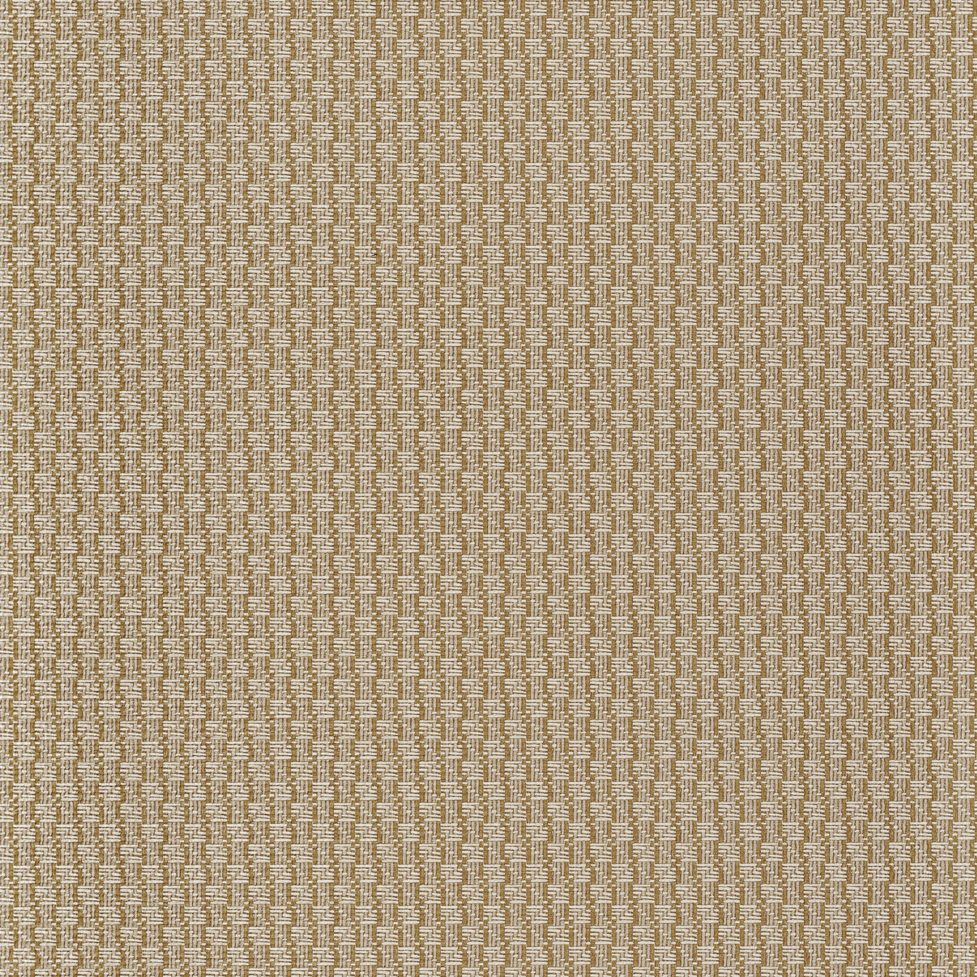 Trenza cord-flat