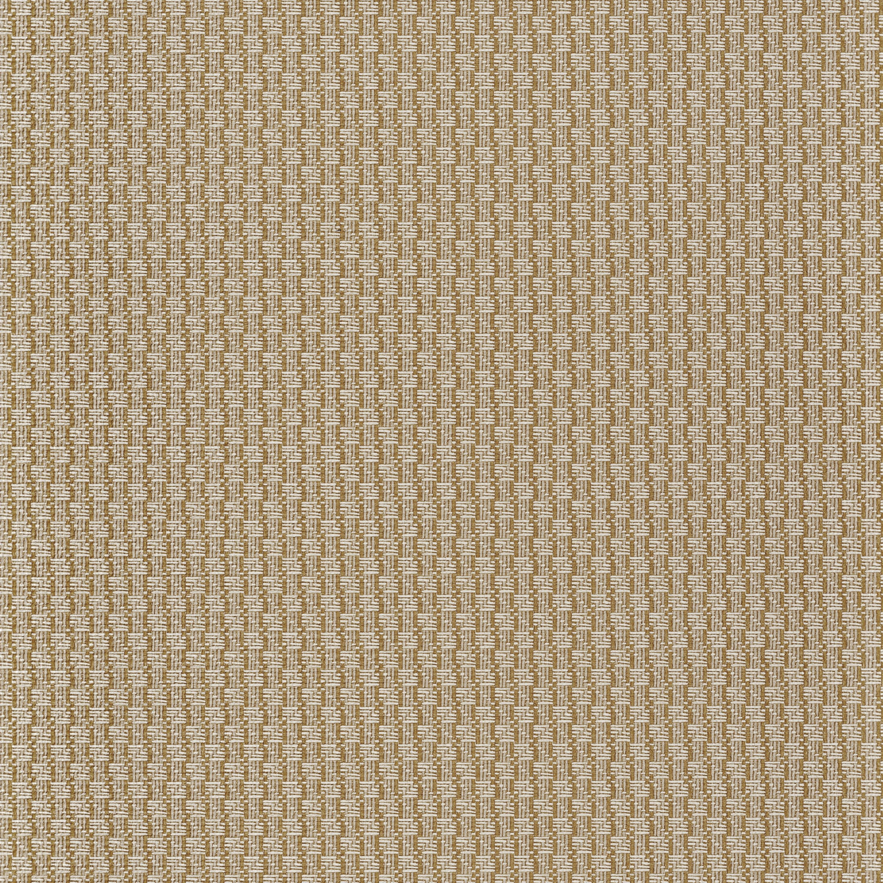 Trenza cord-flat
