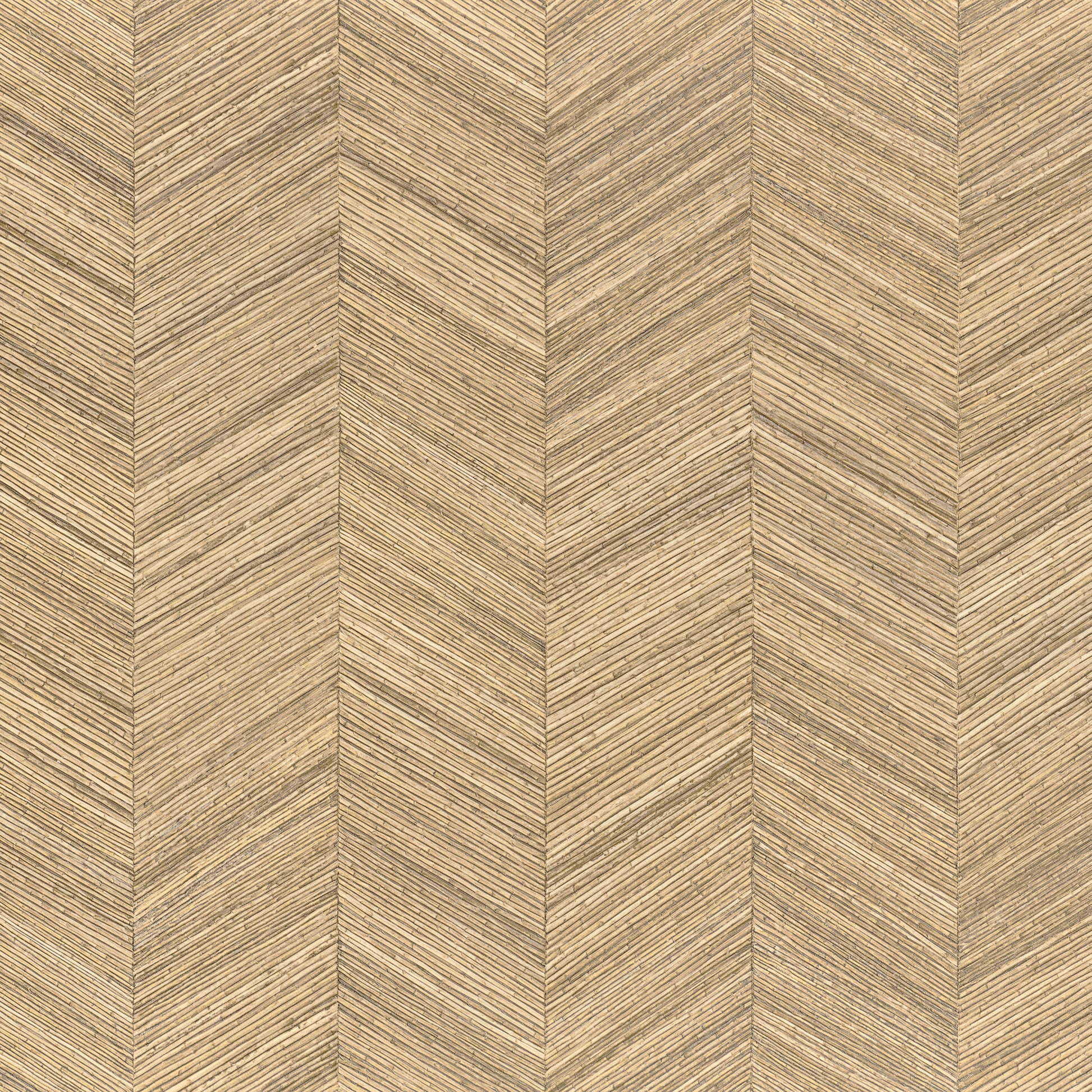 Ocotea Sand-flat