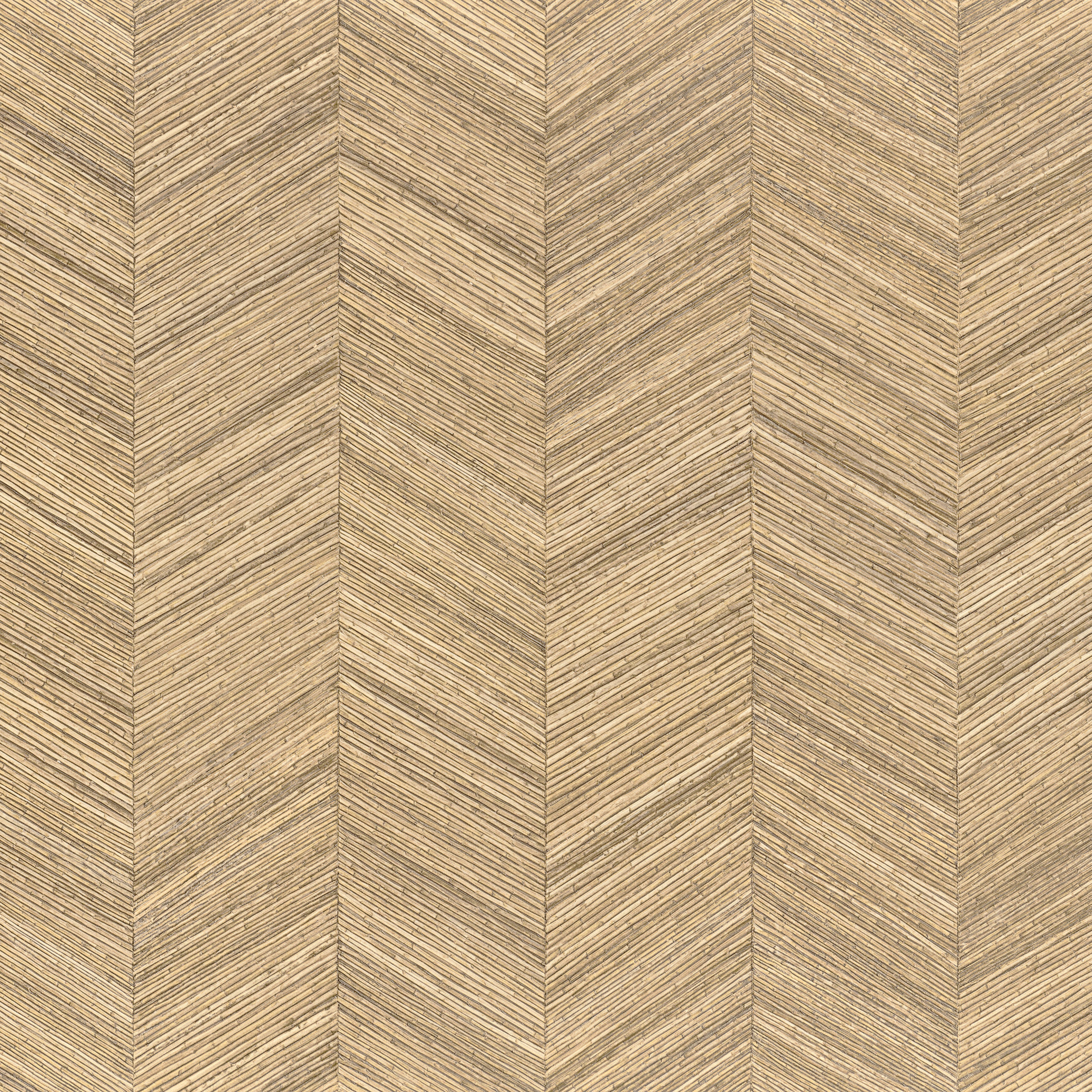 Ocotea Sand-flat