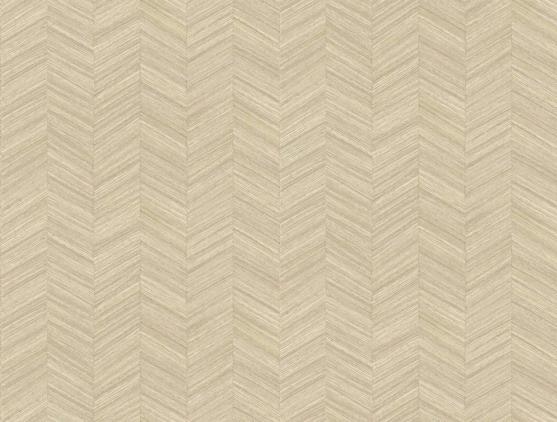 Ocotea Shell-flat