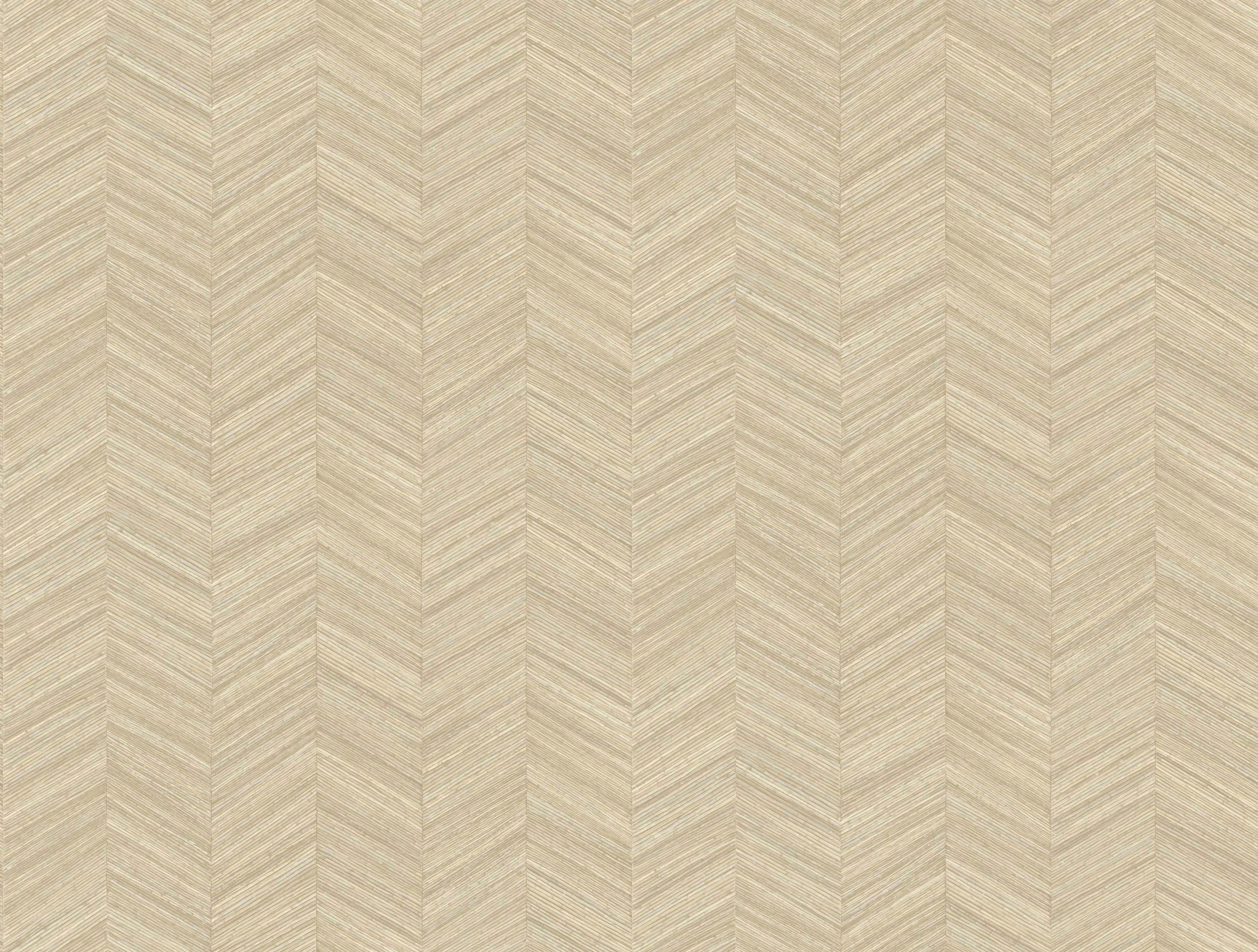 Ocotea Shell-flat