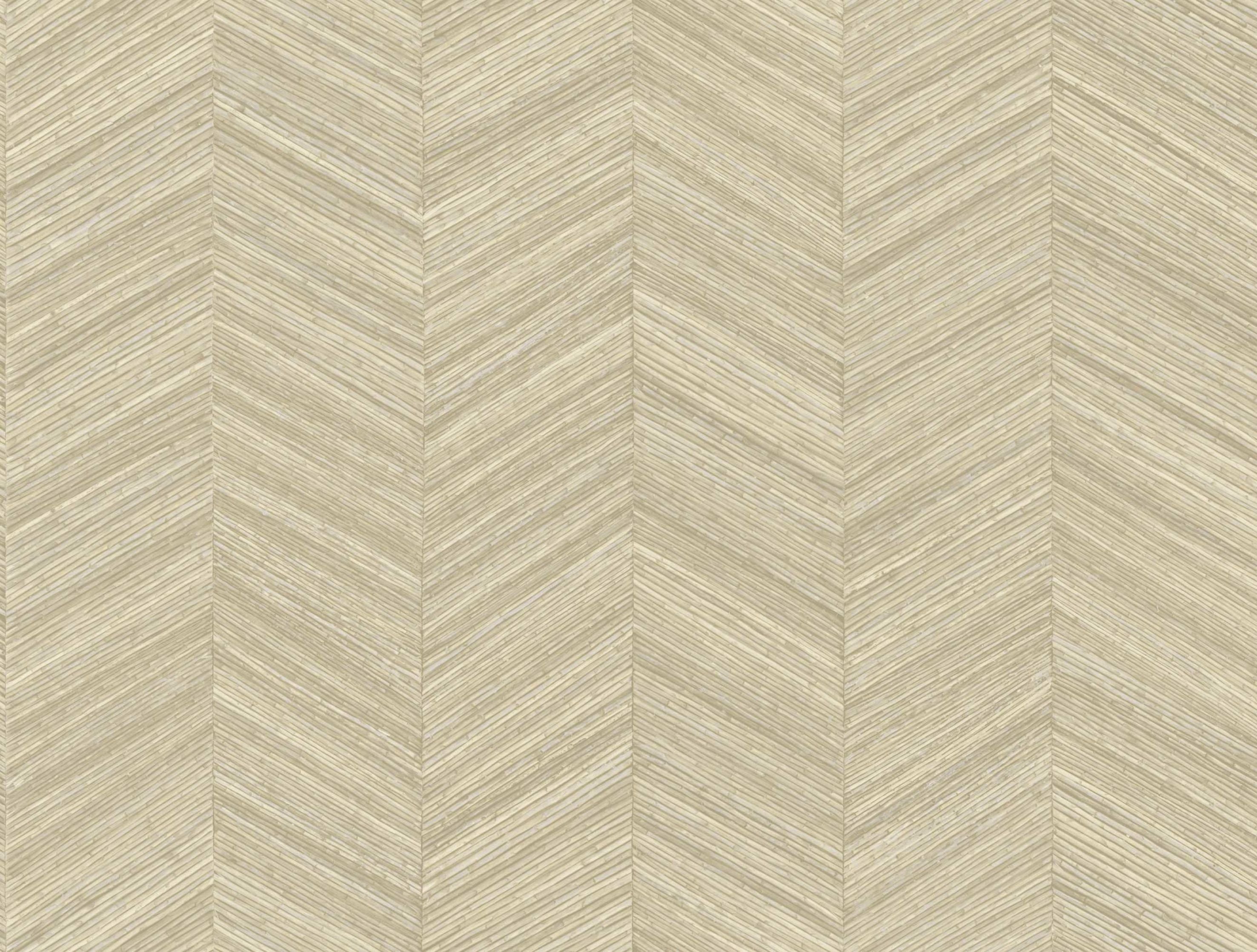 Ocotea Shell-zoom