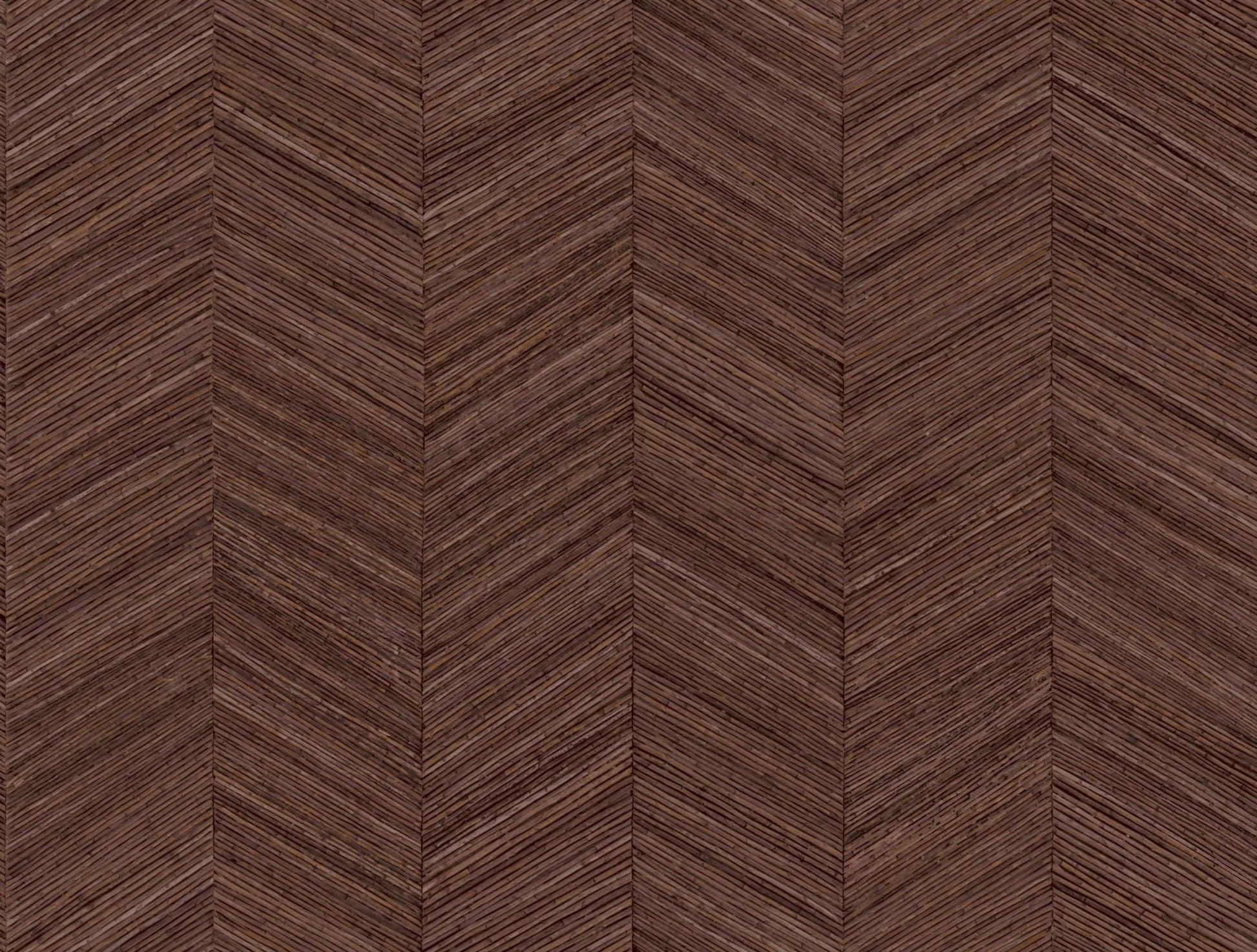 Ocotea Red Cedar-zoom
