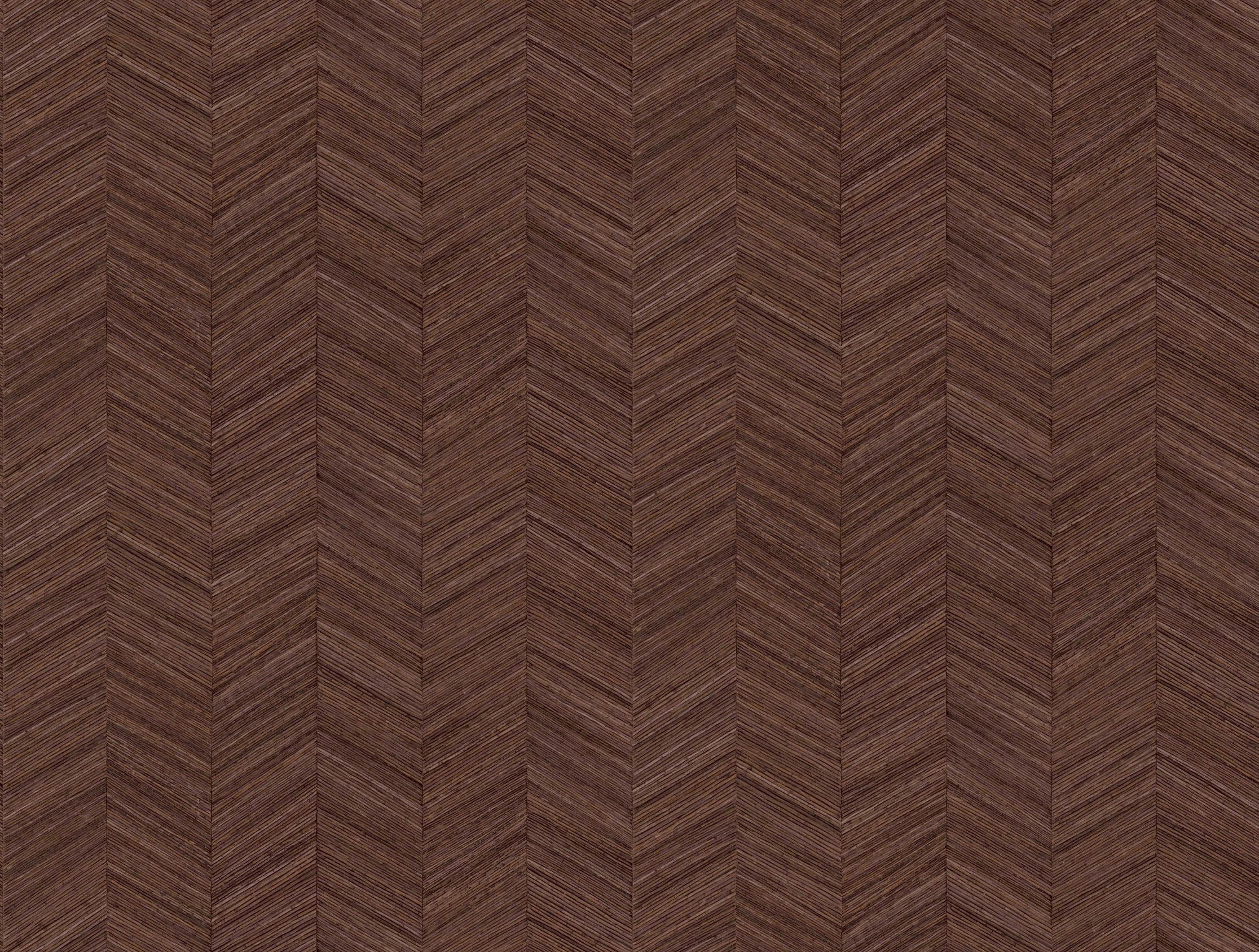 Ocotea Red Cedar-flat