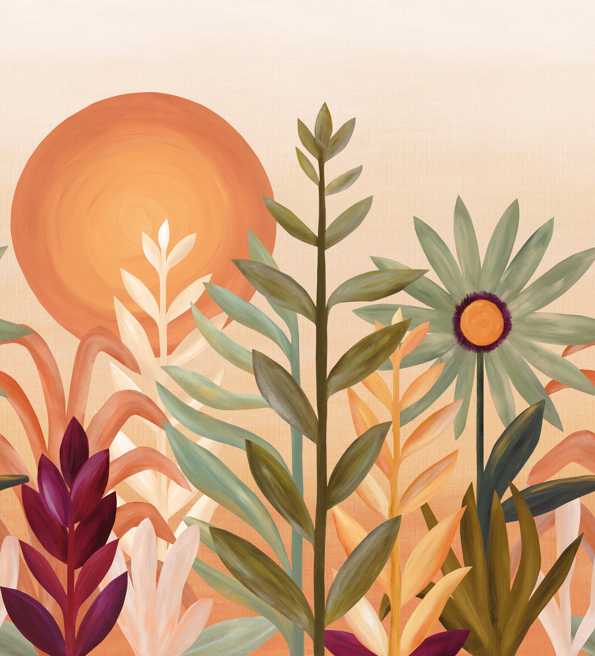 Jardin de cactus - flat