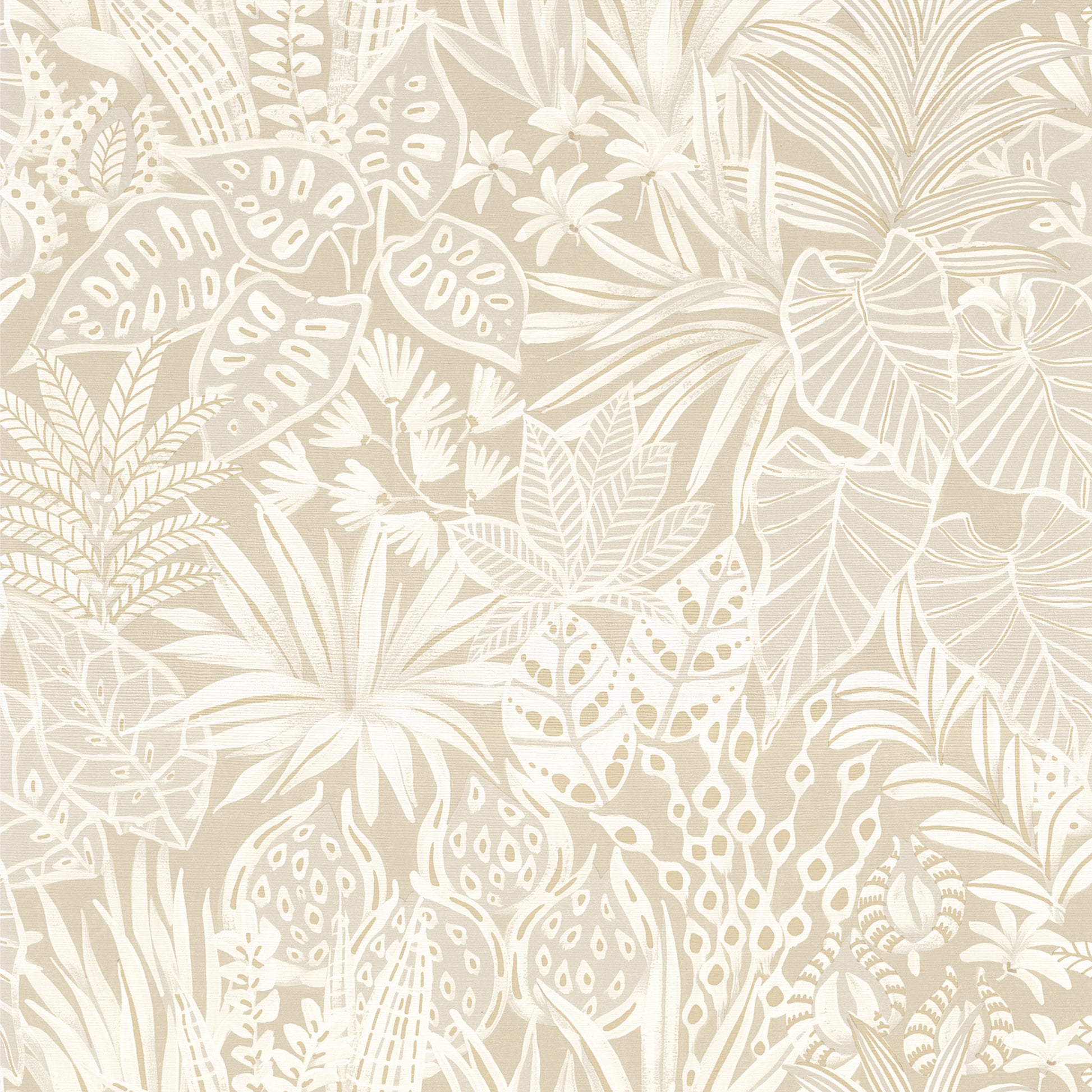 Madhuca sand-flat