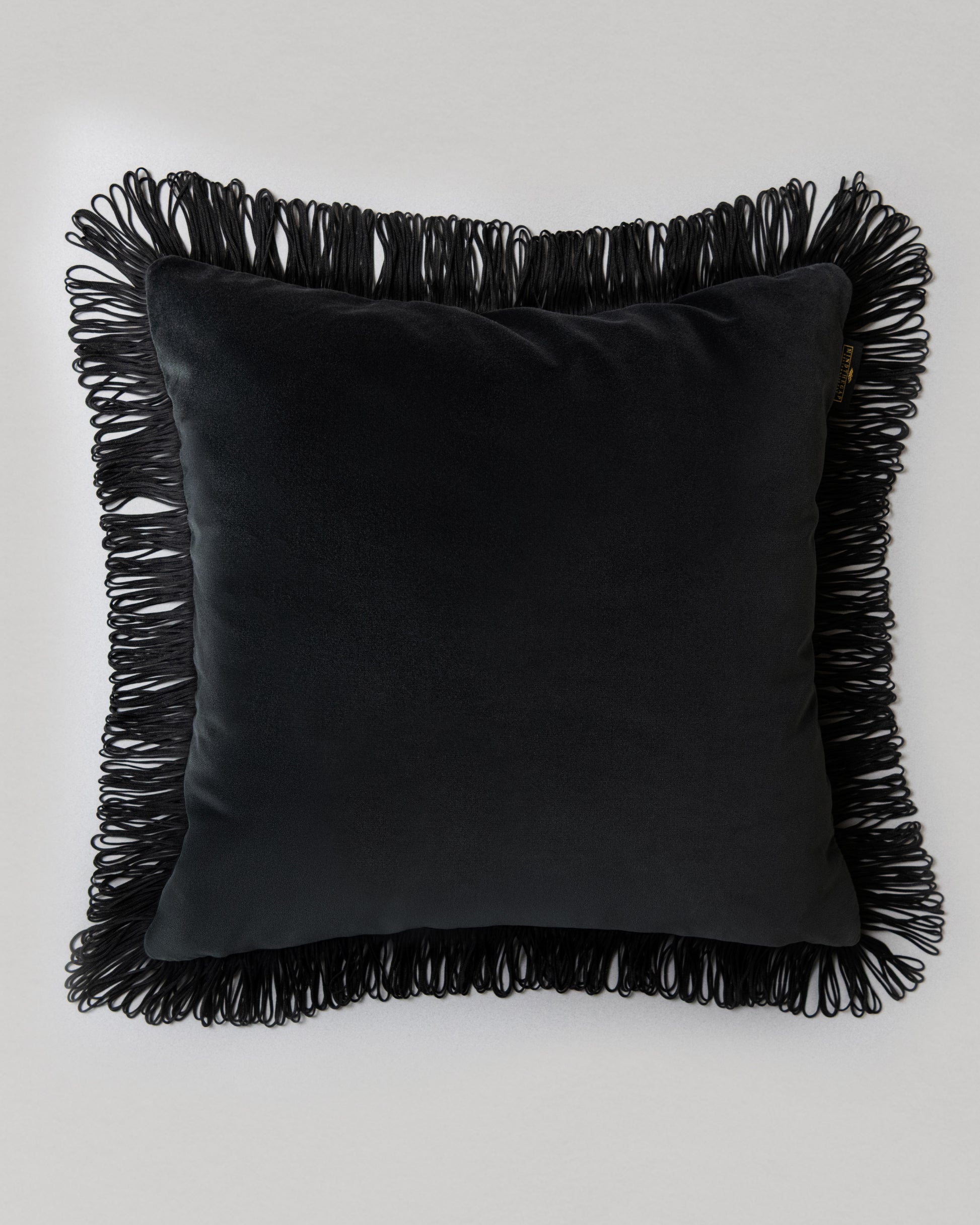 Charcoal  pernuta - front