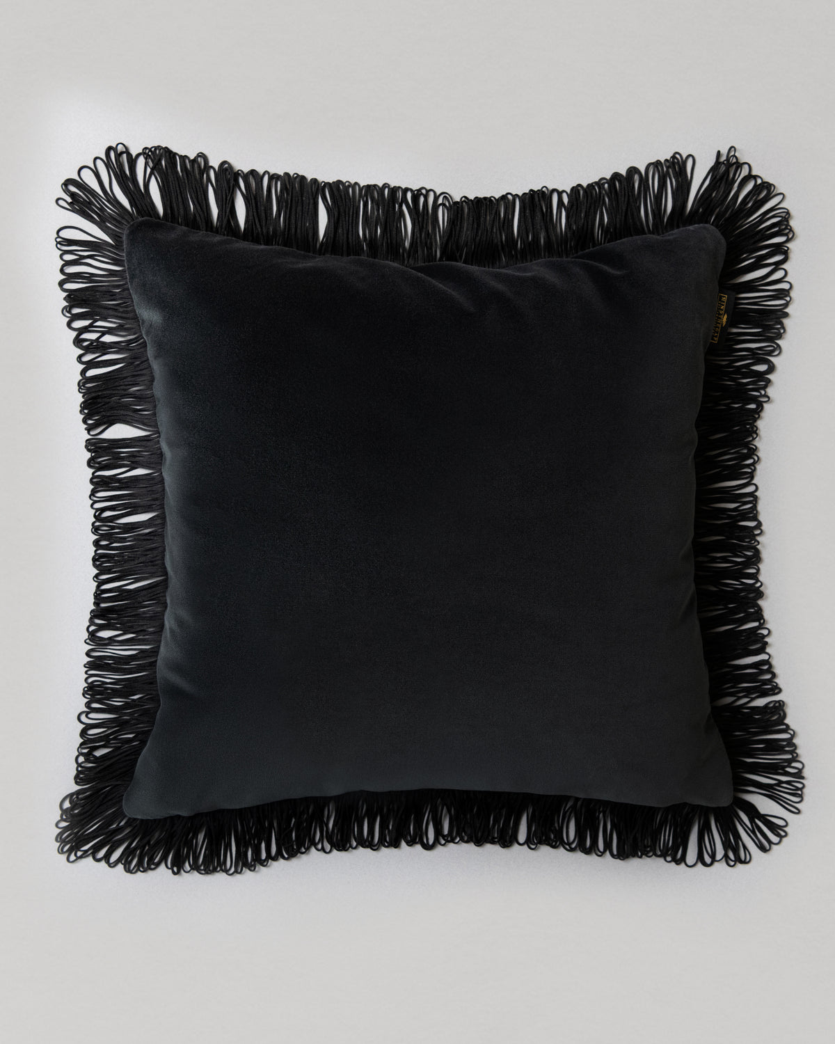 Charcoal  pernuta - front