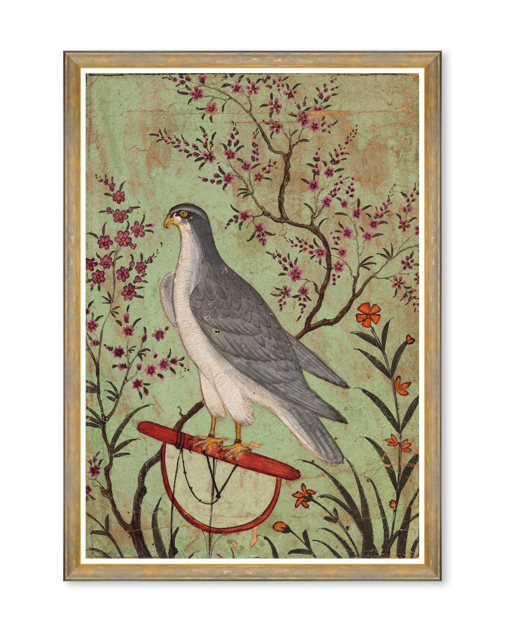 Falcon  tablou - front