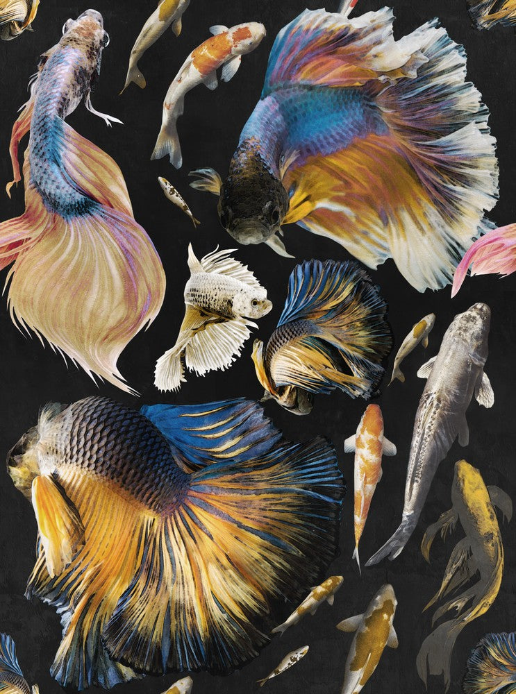 Goldfish anthracite tapet - front