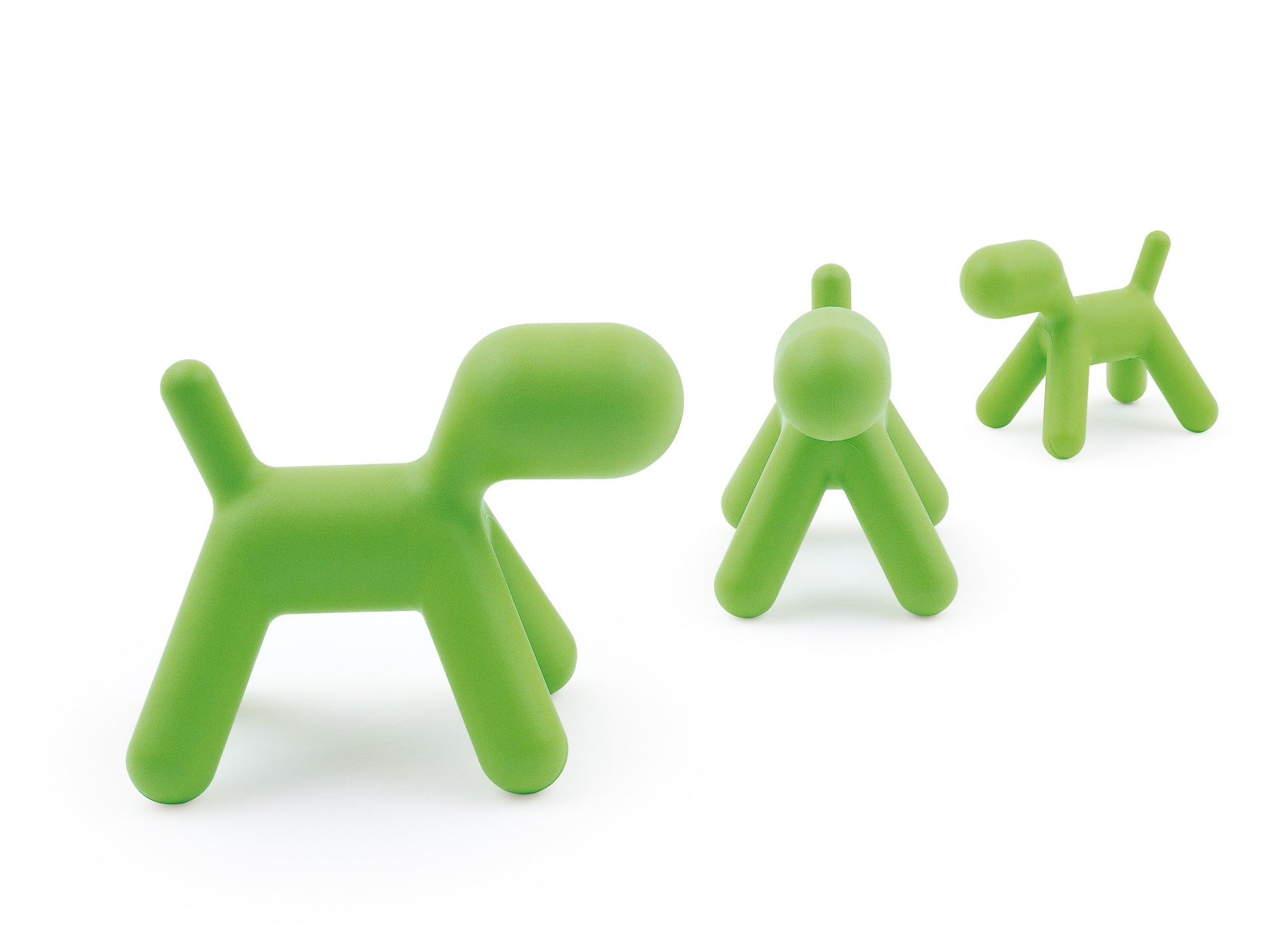 Puppy M green - lat
