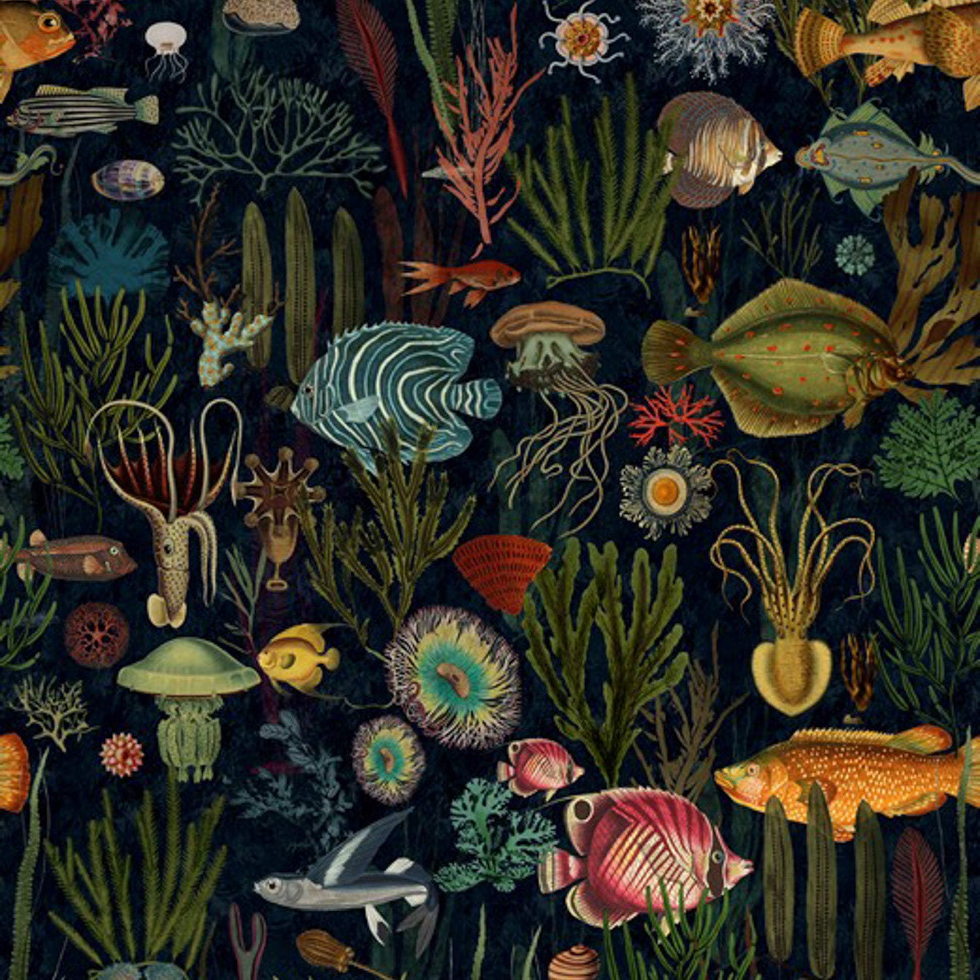 Oceania  tapet - front