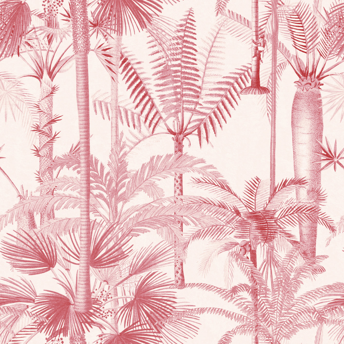 Palmera pink tapet - front