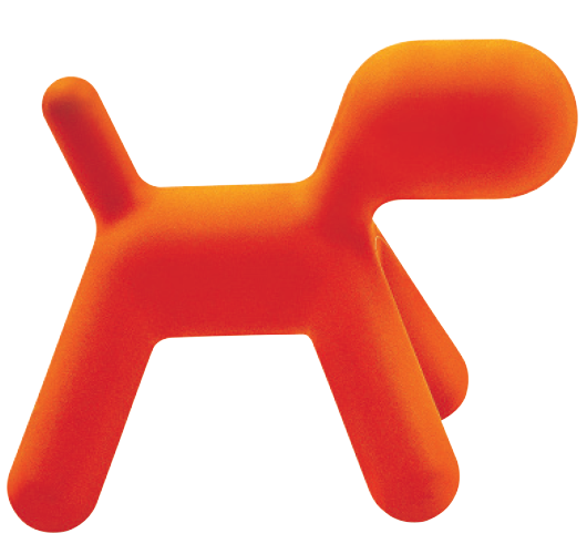Puppy M orange - front