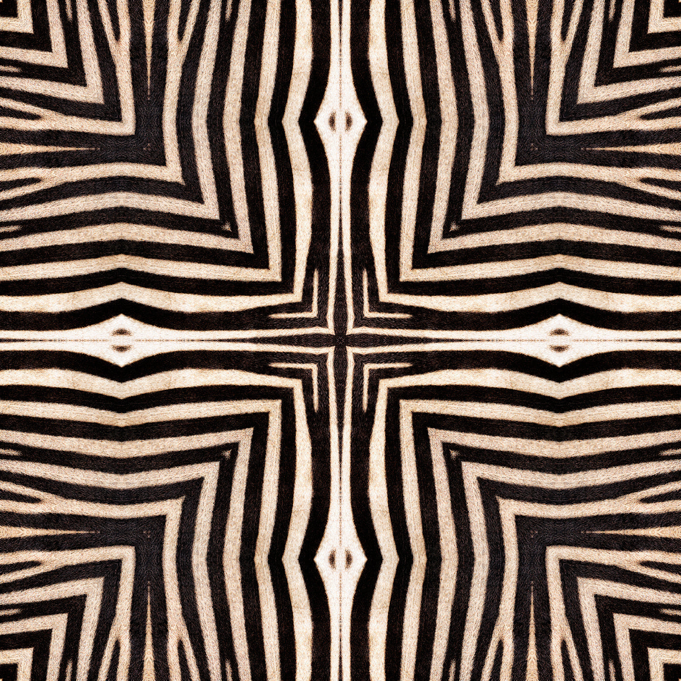 Serengeti  tapet - front