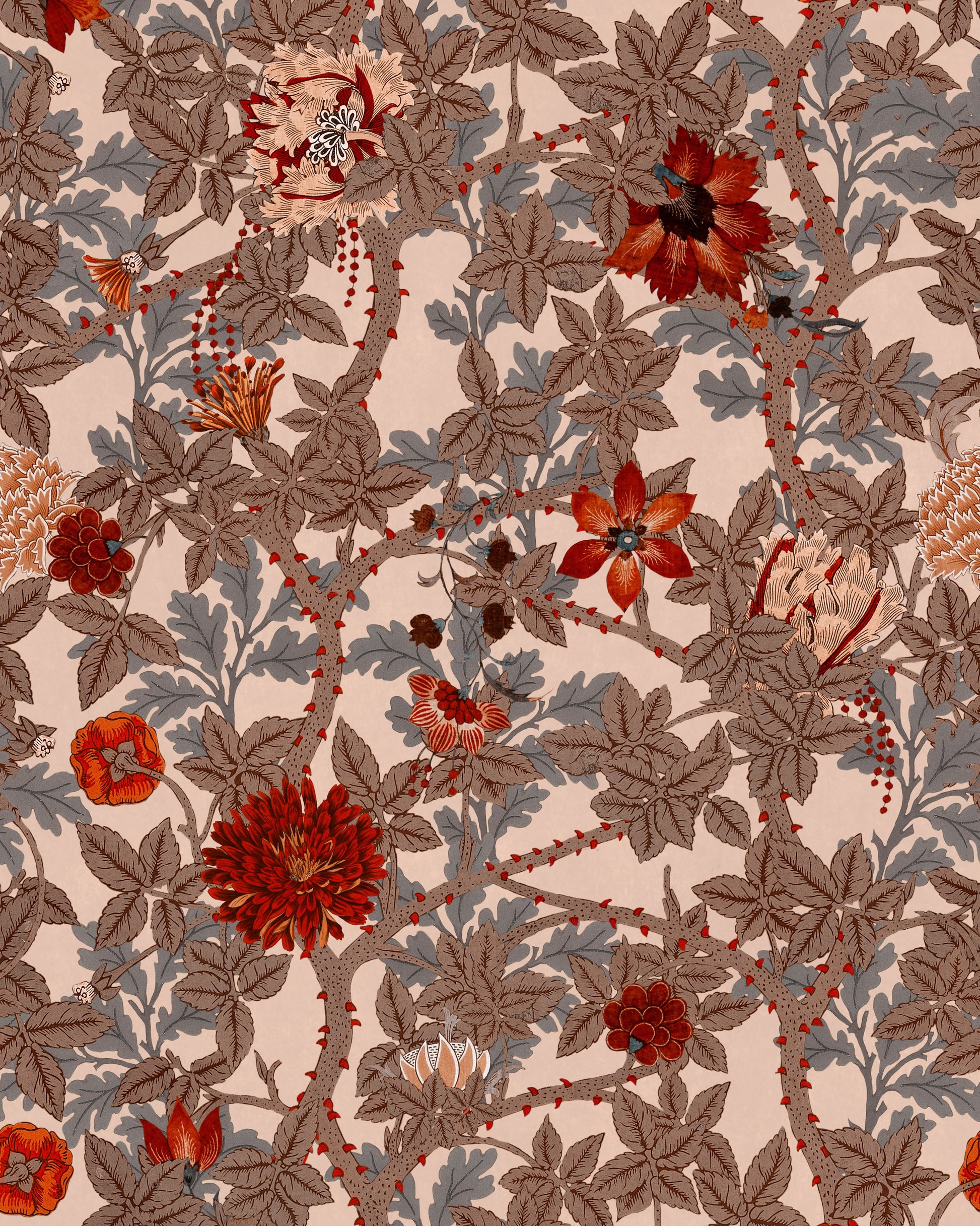 The flowering standard tapet - front