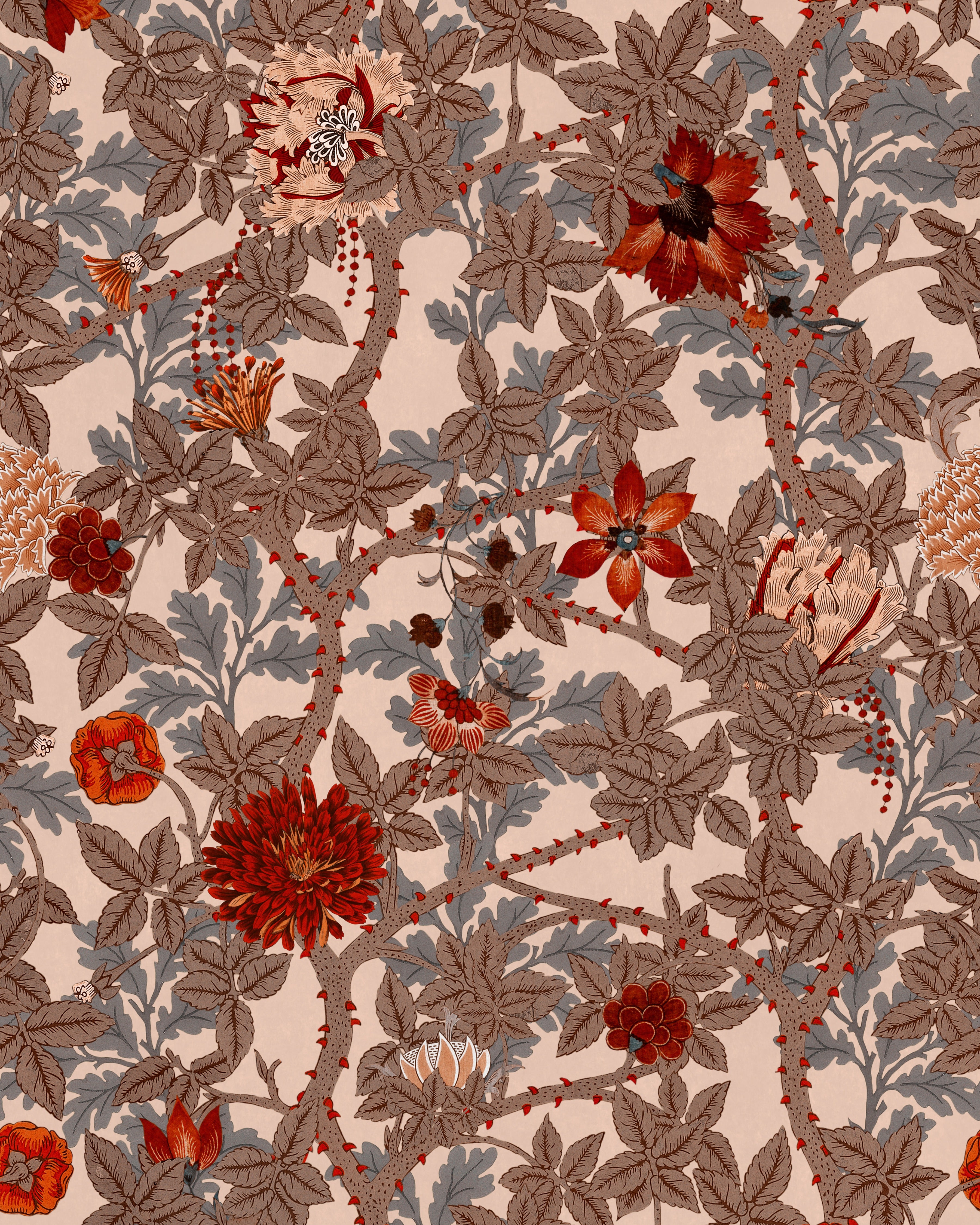 The flowering standard tapet - front