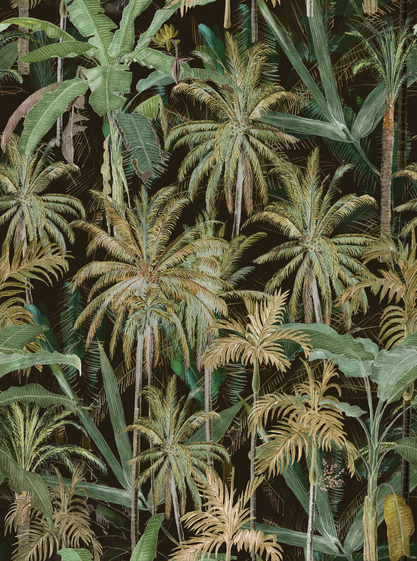 The jungle anthr tapet - front