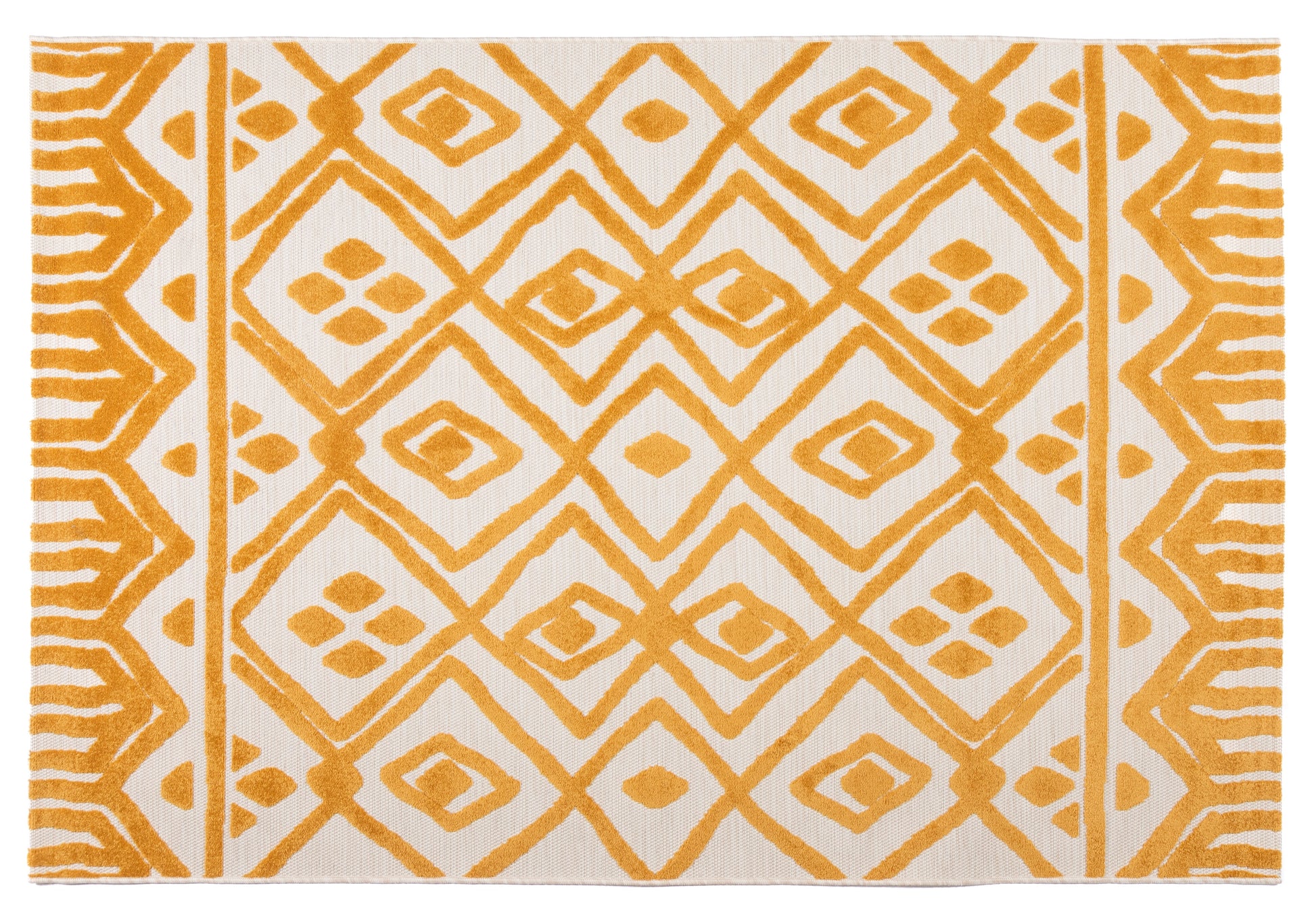 Zanzibar yellow -front